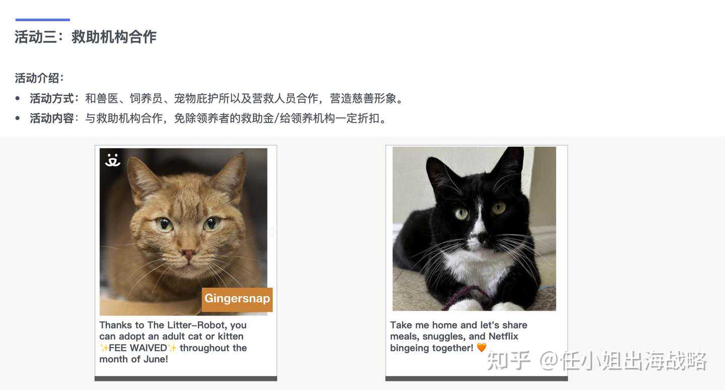 宠物出海爆款：智能猫砂盆品牌Little Robot如何突破3亿美金销售额？