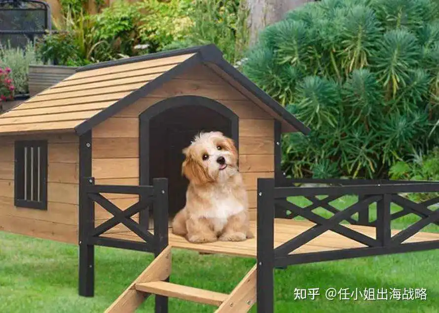 宠物养育新时代:婴儿化与智能化趋势下,PetSafe如何以“安全舒适”赢取北美市场