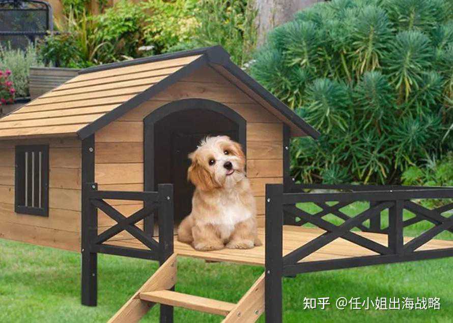 宠物养育新时代：婴儿化与智能化趋势下，PetSafe如何以“安全舒适”赢取北美市场