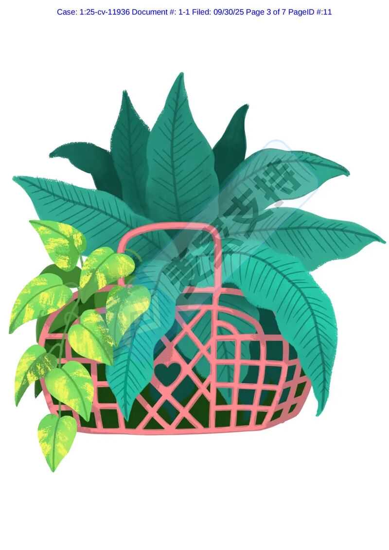 25-cv-11936，keith代理Agata Wnuk版权维权，54店涉案被TRO冻结！