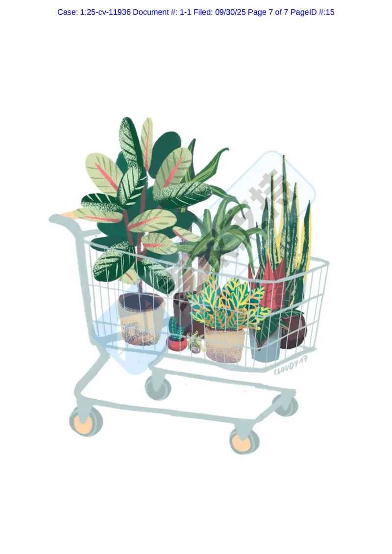 25-cv-11936，keith代理Agata Wnuk版权维权，54店涉案被TRO冻结！