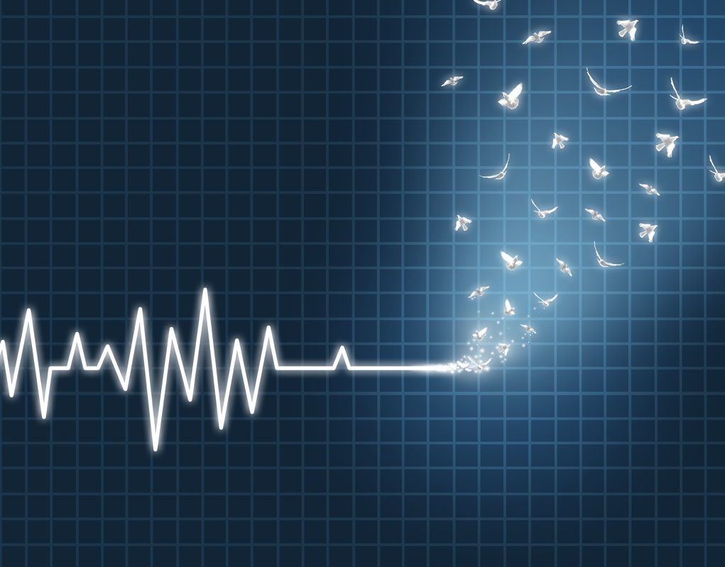 ChatGPT上线电商，威胁不了TikTok卖家