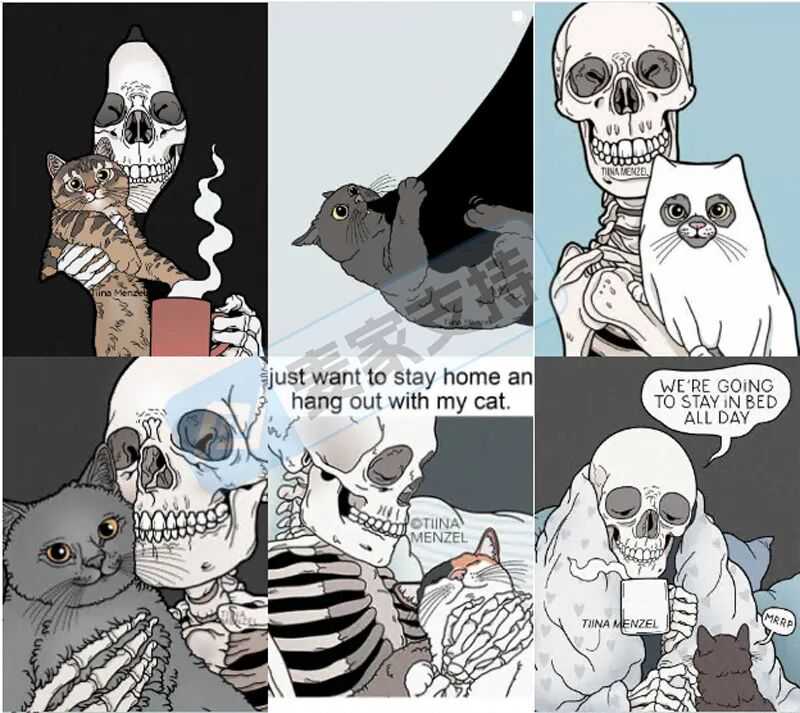 25-cv-11879，名单已出！骷髅与猫维权，99店涉案已被TRO冻结！