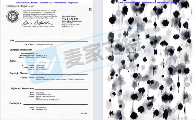 25-cv-01106，抽象水墨画作刮起维权风暴，79店涉案被TRO冻结！