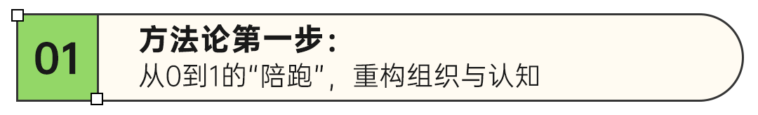 代工20年转型年销千万！传统家纺工厂靠洗碗巾在亚马逊打造可复制方法论