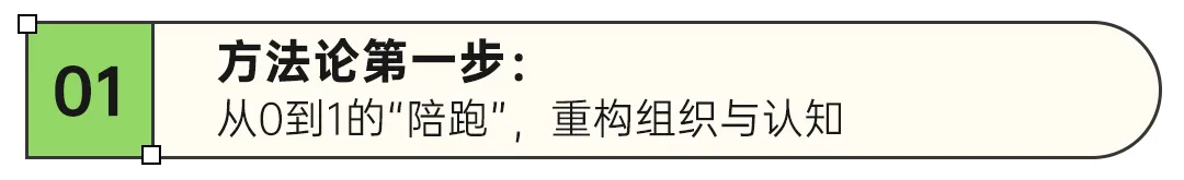 代工20年转型年销千万!传统家纺工厂靠洗碗巾在亚马逊打造可复制方法论