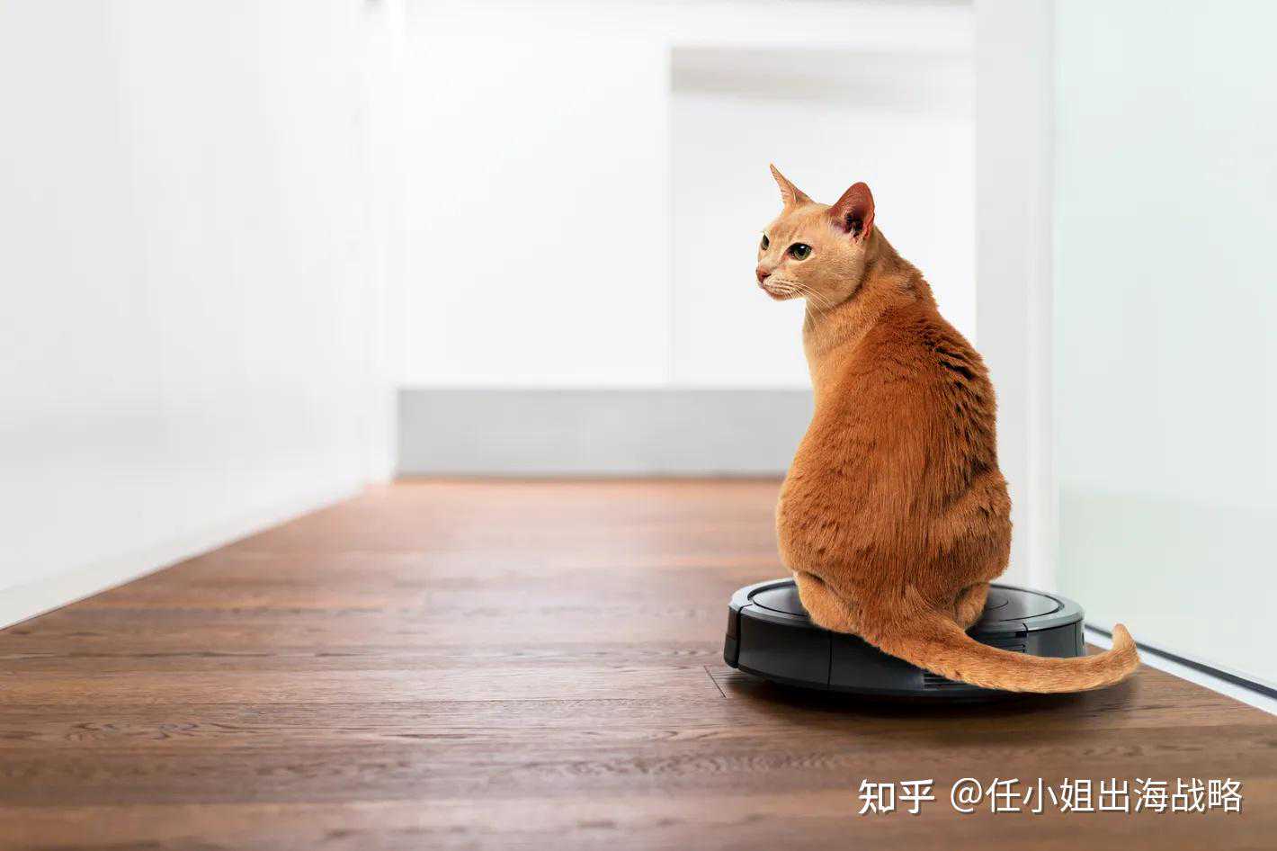 扫地机器人的宿命：iRobot 的荣光、失速与重生之路