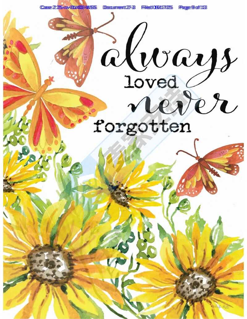 2025-cv-01403，美式乡村风作品维权风暴再起，Temu平台为TRO重灾区