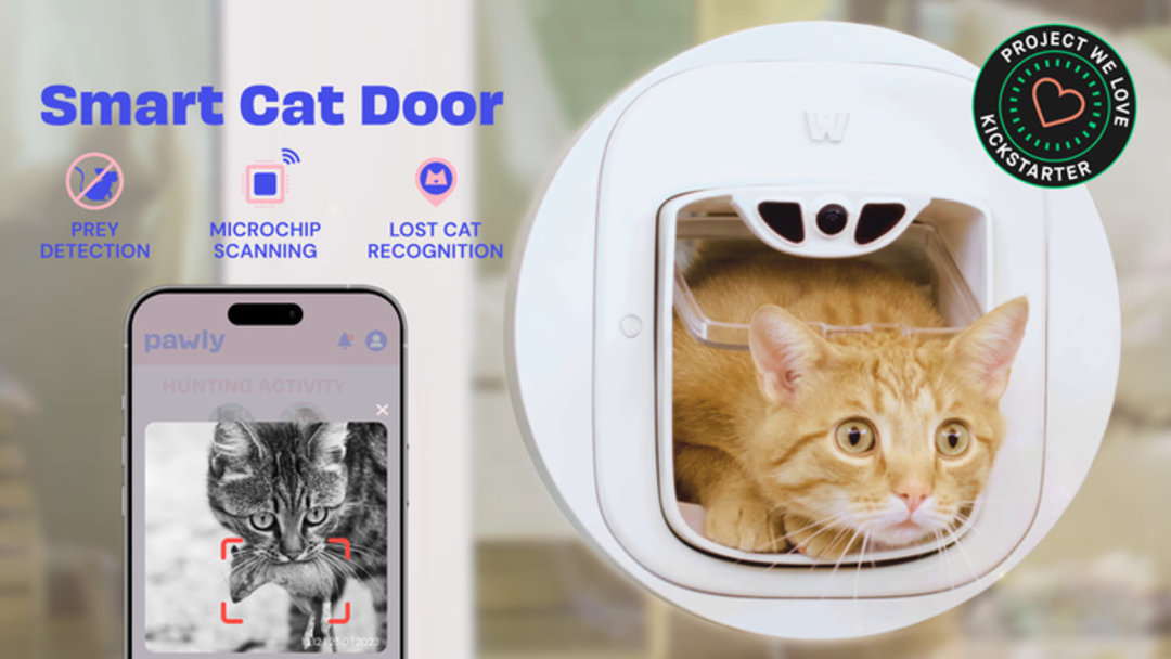 6100%搜索飙升，AI猫门火了，单价1300+卷的不是功能是情绪价值