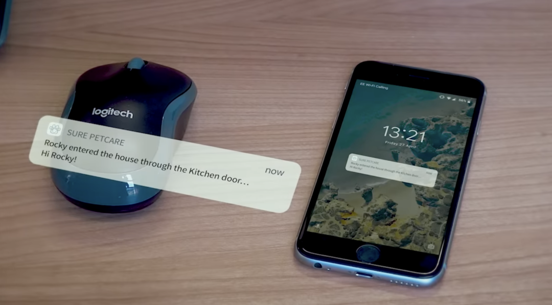 6100%搜索飙升，AI猫门火了，单价1300+卷的不是功能是情绪价值