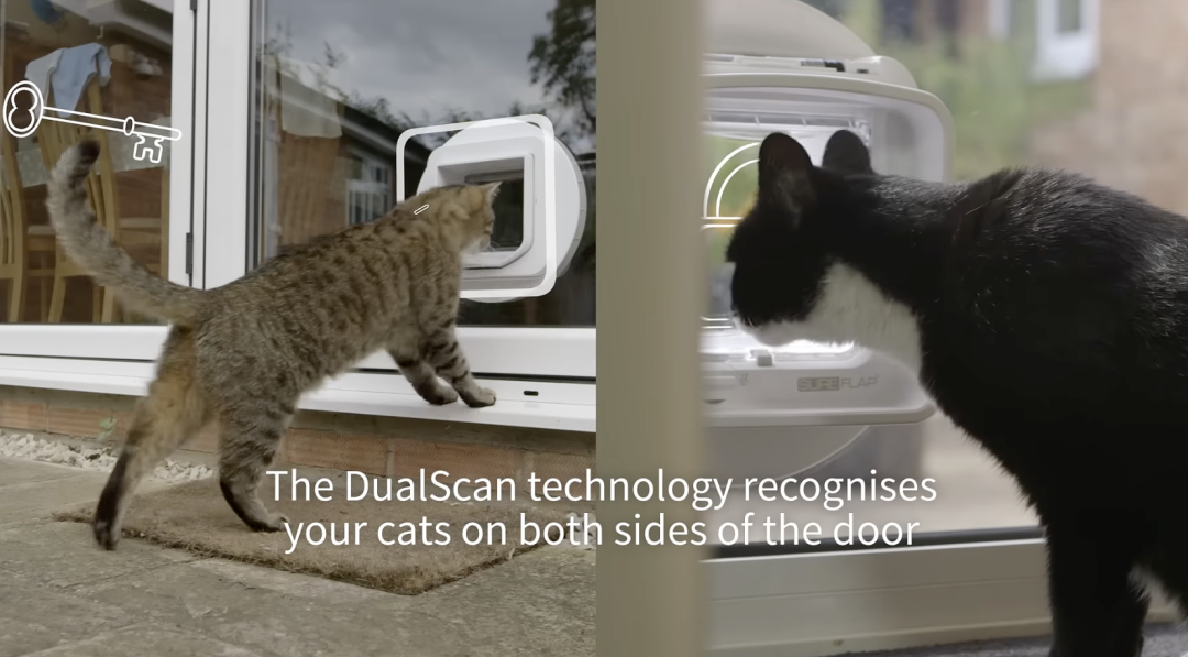 6100%搜索飙升，AI猫门火了，单价1300+卷的不是功能是情绪价值