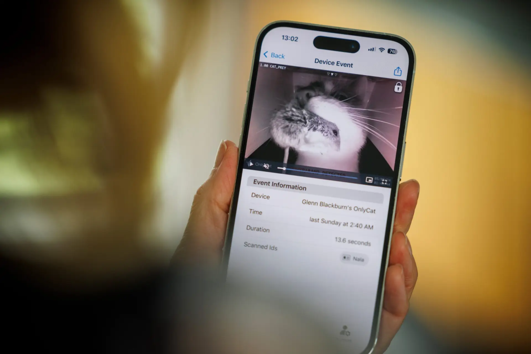 6100%搜索飙升，AI猫门火了，单价1300+卷的不是功能是情绪价值