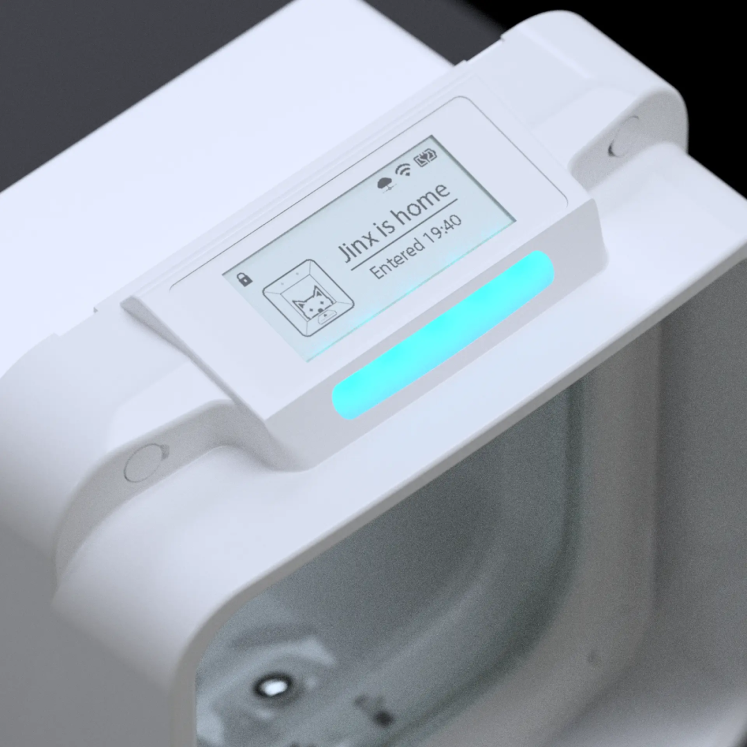 6100%搜索飙升，AI猫门火了，单价1300+卷的不是功能是情绪价值