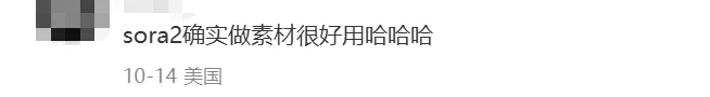 靠Sora2带货视频出单，TikTok卖家赚上第一桶金