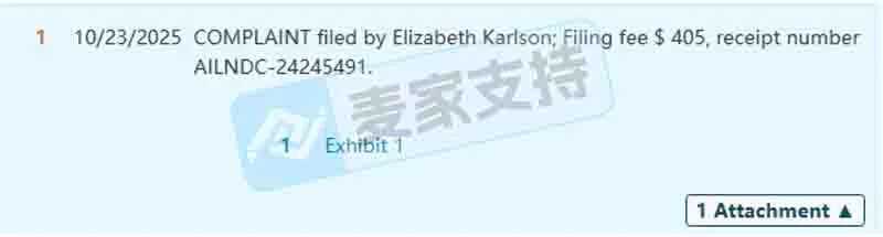 25-cv-13075,酒精墨水抽象画持续维权,已成功TRO冻结200余店!