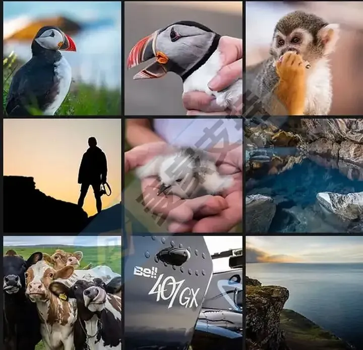 25-cv-13459,keith新案速递!注意规避看镜头的4只奶牛TRO风险