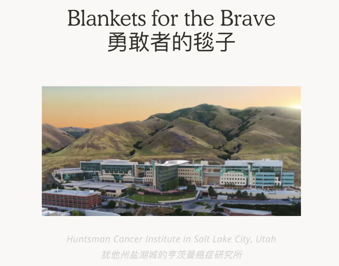 $399毛毯单月狂卖1000万美金,黑五投流狠角色