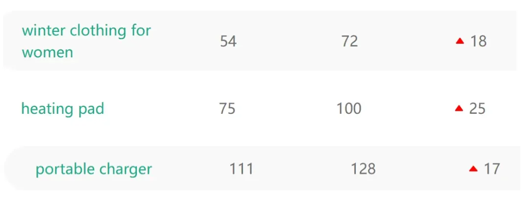 4元成本卖11美元！国内又一保暖神器在TikTok爆单