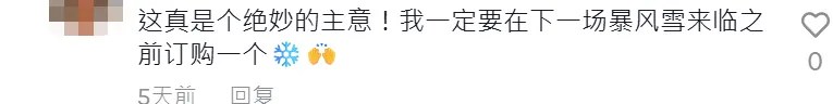 30天卖了160万，汽车“防冻神器”走红TikTok