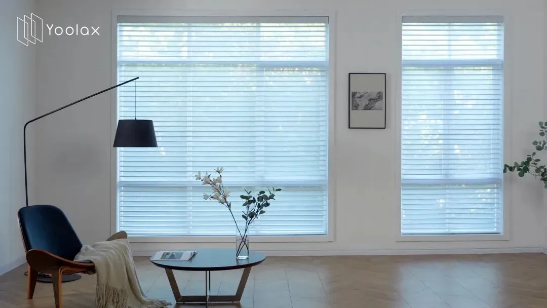 一件窗帘敢在亚马逊卖500刀，还让苹果工程师复购上万美元！这家公司的底气何在？