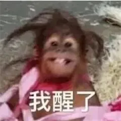 竞品分析不止看词:深度拆解对手广告结构与流量来源