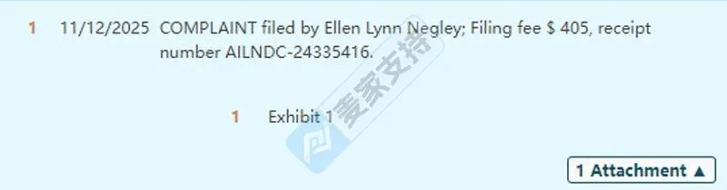 25-cv-13872，Ellen Lynn Negley热带水彩画维权，跨境卖家防 TRO 冻结刻不容缓！