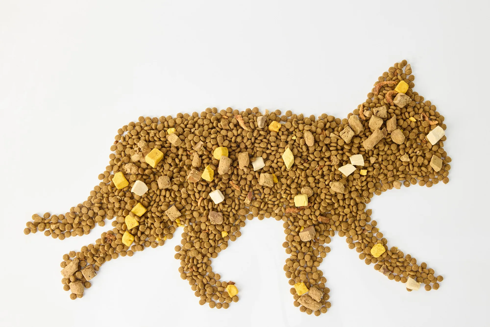 波兰宠物市场将达96亿兹罗提，线上消费占比达30%