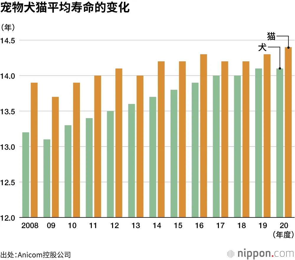 给老年宠物做“保健品”？这个中国品牌把中药卖到了欧洲