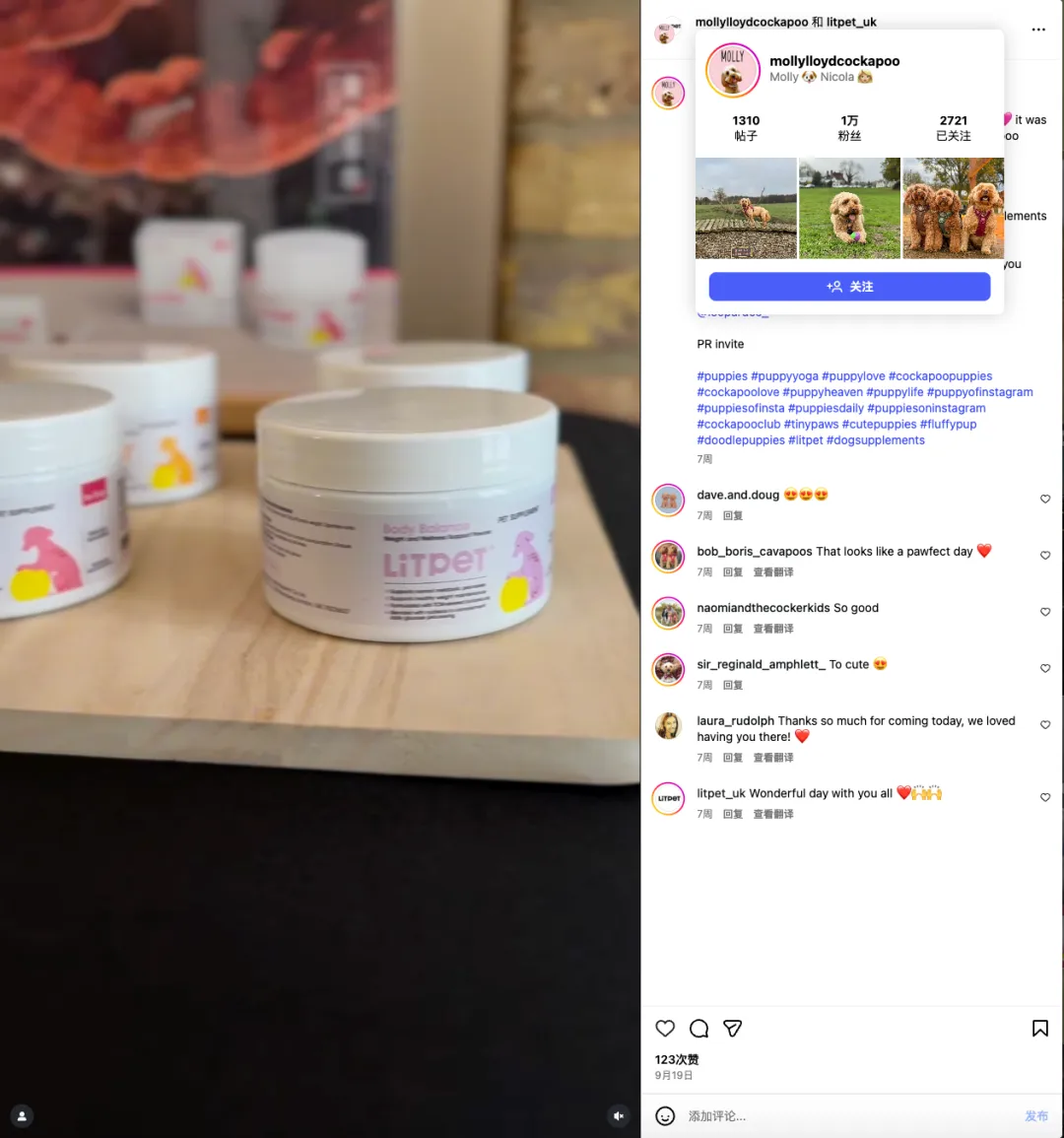 给老年宠物做“保健品”？这个中国品牌把中药卖到了欧洲