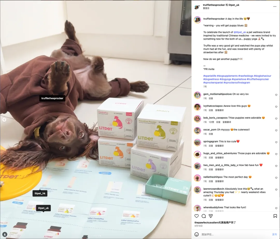 给老年宠物做“保健品”？这个中国品牌把中药卖到了欧洲