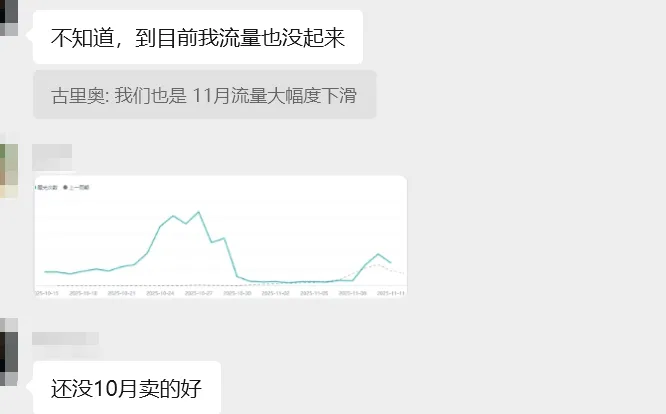 黑五首日，TikTok卖家单量“冰火两重天”