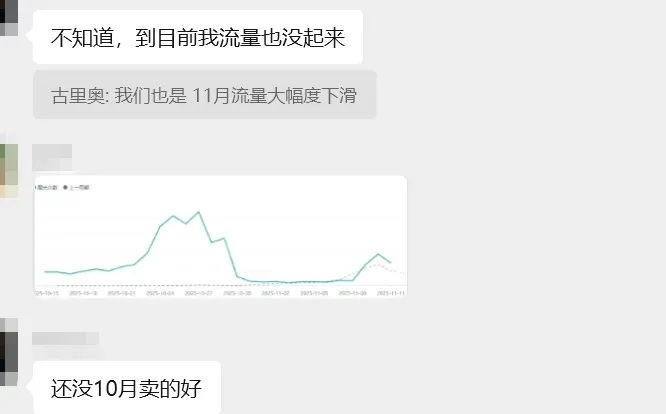 黑五首日，TikTok卖家单量“冰火两重天”