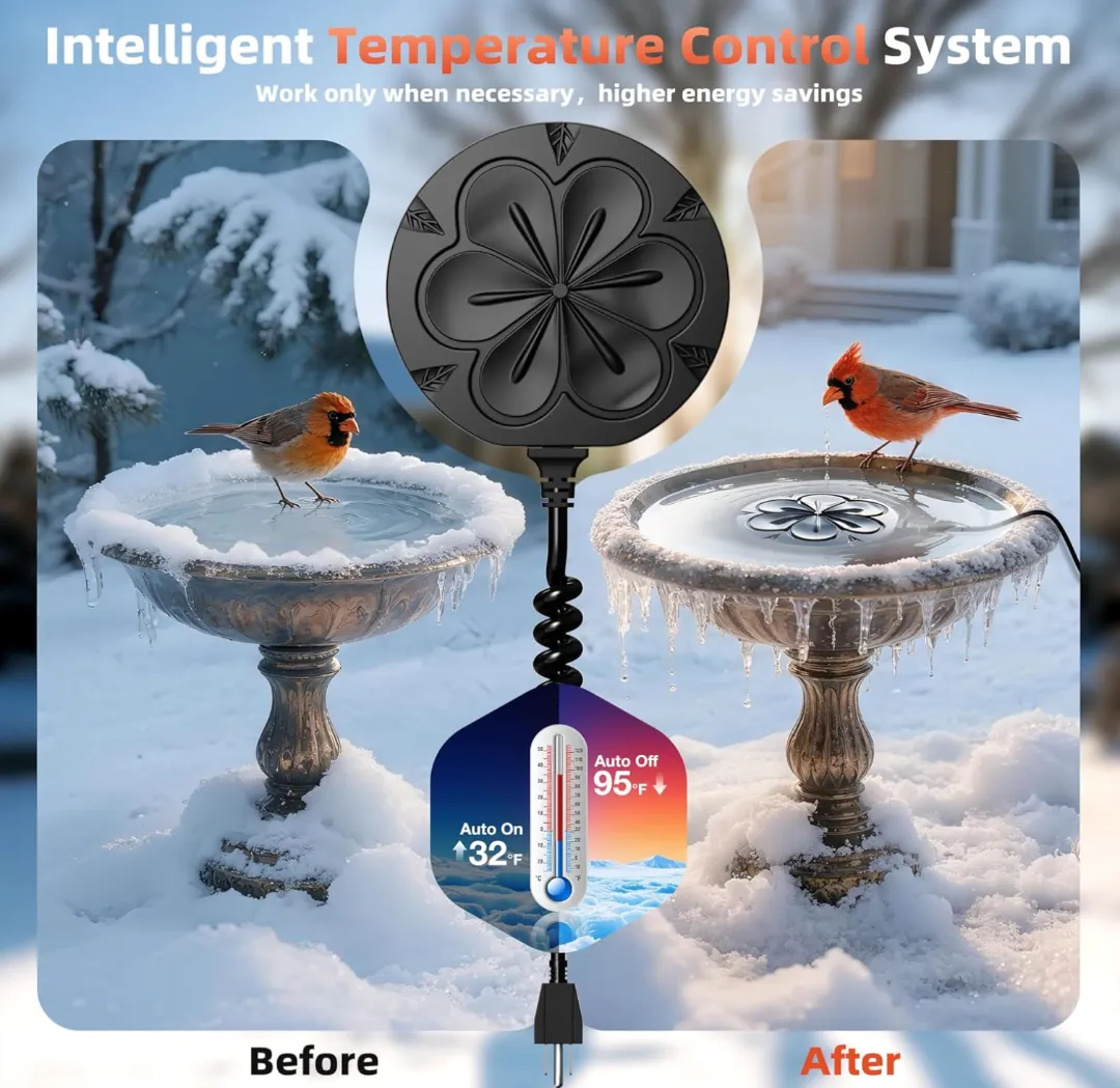 undefined 我们所以为的小众,是美国人的刚需——信息差带来的选品机会