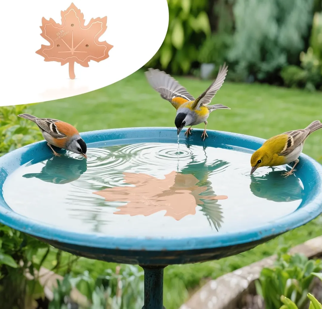 undefined 我们所以为的小众,是美国人的刚需——信息差带来的选品机会