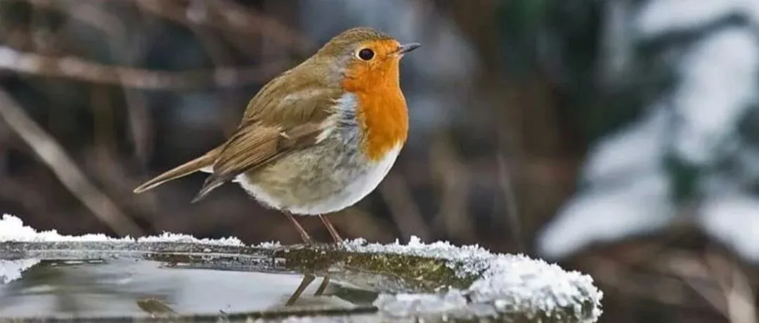 我们所以为的小众，是美国人的刚需——信息差带来的选品机会