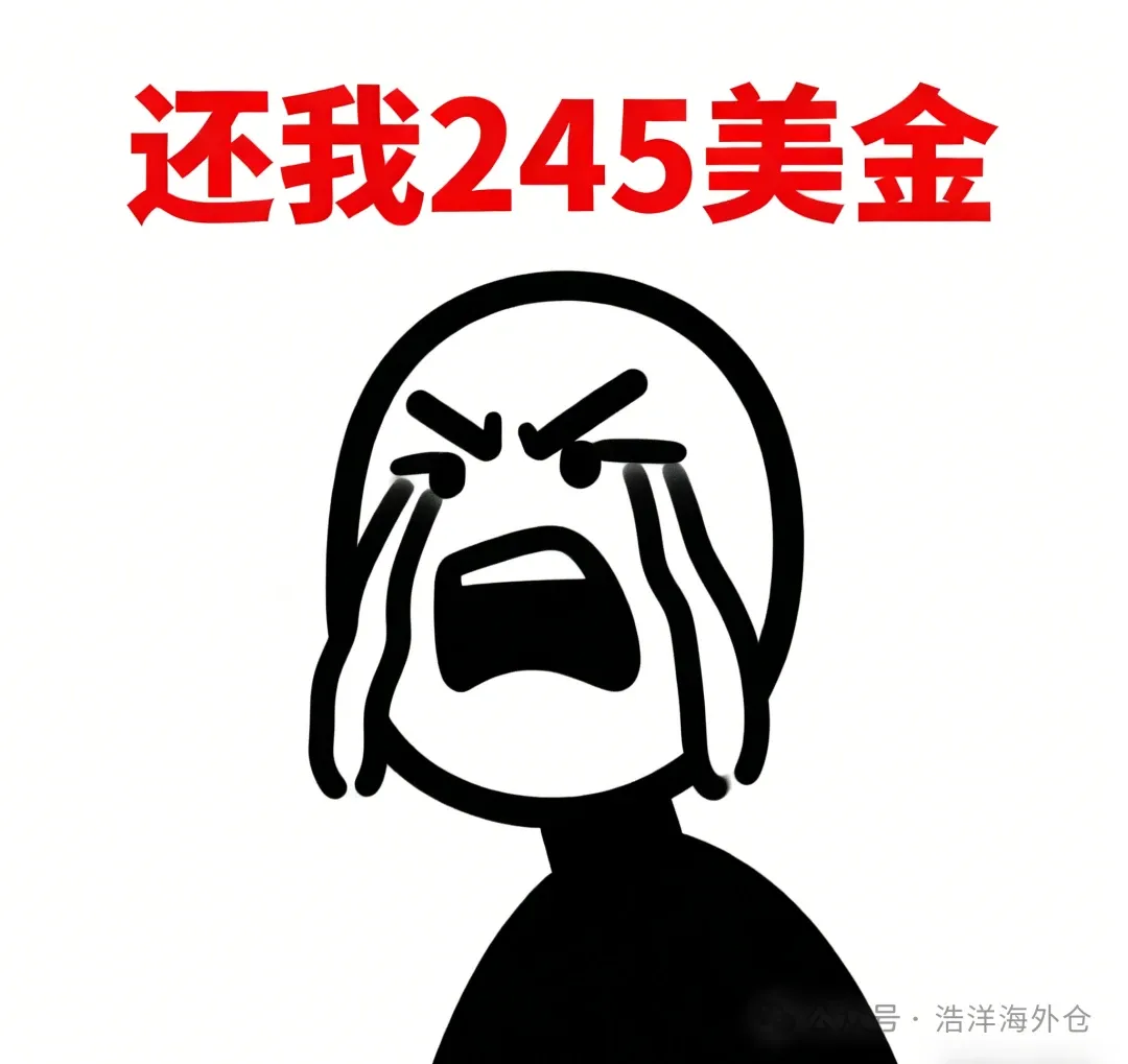 今年黑五彻底变天：亚马逊遇冷，Temu 和 TikTok 却一路狂飙！