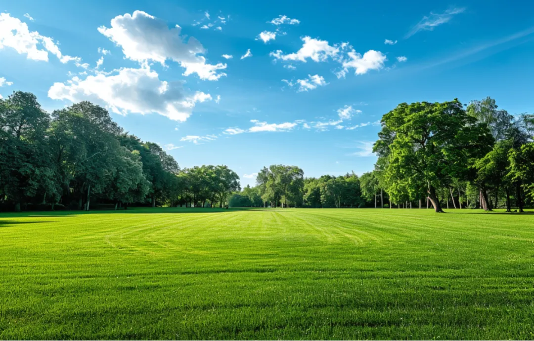 将心比心，众志成城—记邑通达海外仓2025年度冬季团建