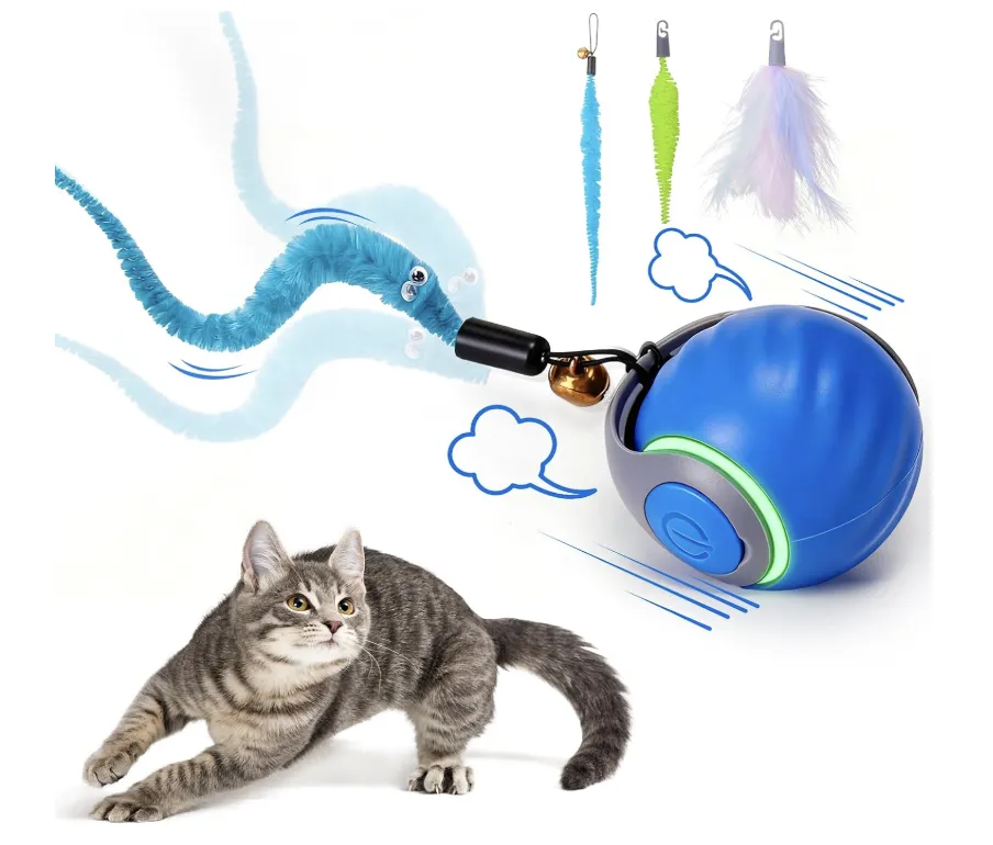 宠物消费持续升温，亚马逊10款月销过万宠物产品推荐