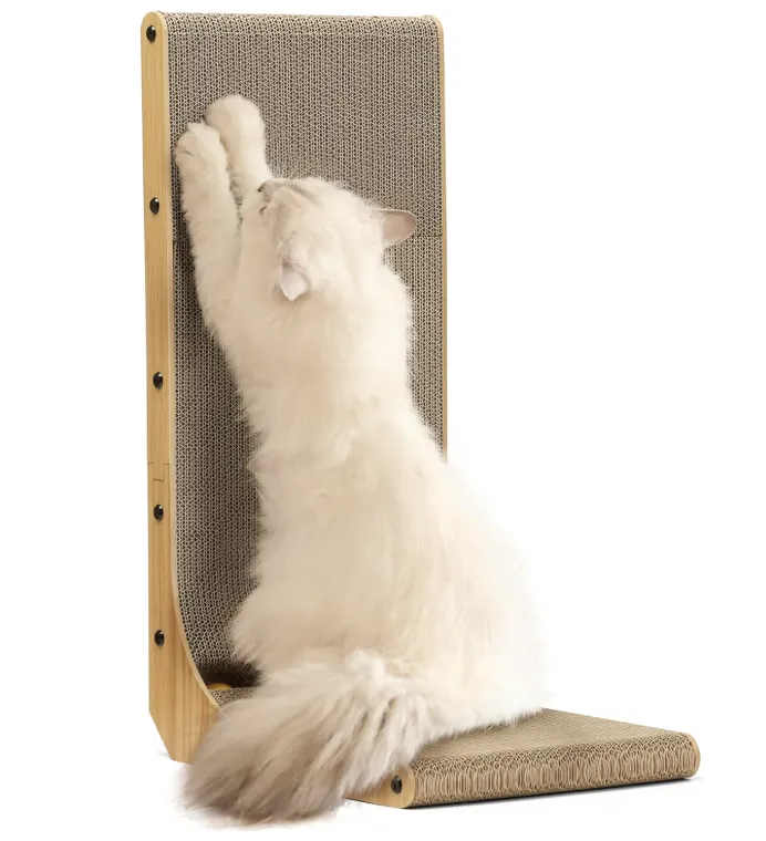 宠物消费持续升温，亚马逊10款月销过万宠物产品推荐