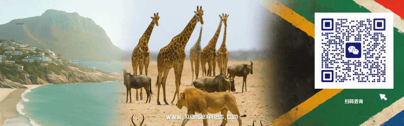 中国 南非直发小包专线:时效 成本与清关效率的终极平衡术