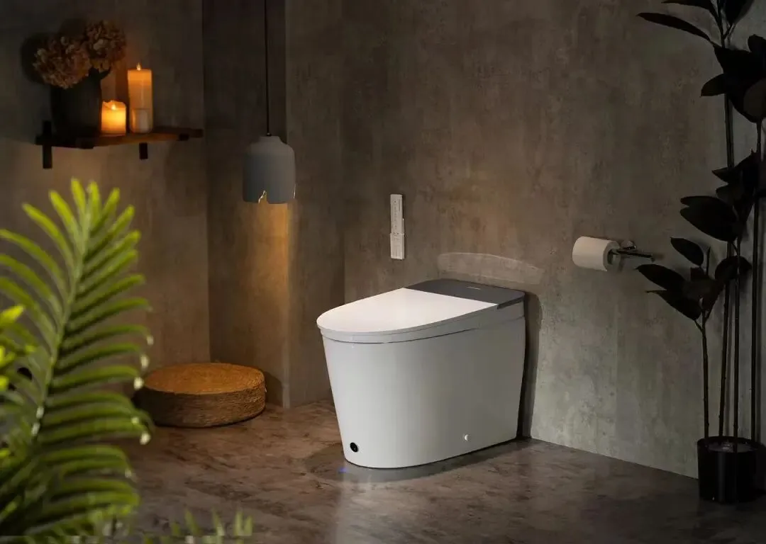 3人小团队创业年销破千万美元!中国智能马桶如何征服亚马逊北美站?