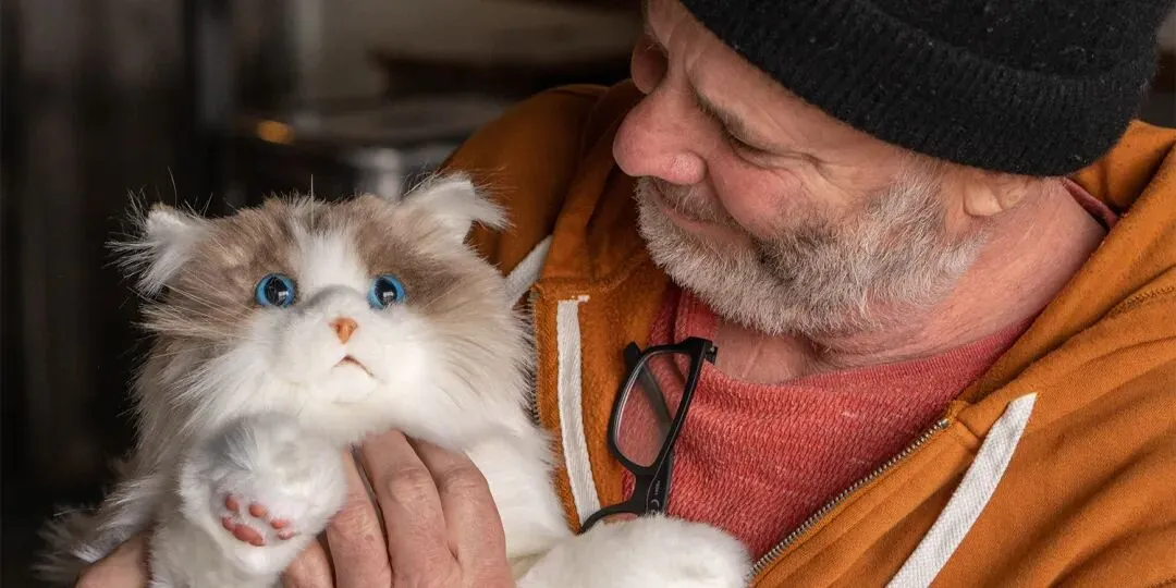 100美金的毛绒玩具凭什么爆火？清华理工男1年登顶亚马逊高客单价赛道的秘诀