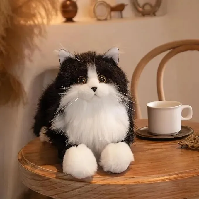 100美金的毛绒玩具凭什么爆火？清华理工男1年登顶亚马逊高客单价赛道的秘诀