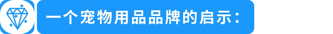 【专家分享】从海外用户洞察到产品创新，打造亚马逊品牌差异化