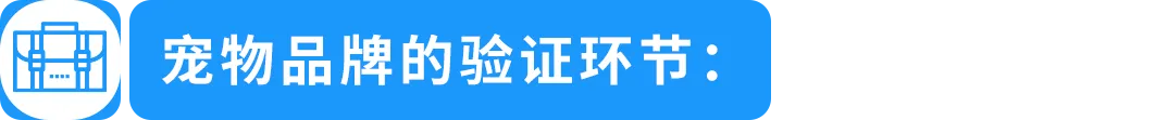 【专家分享】从海外用户洞察到产品创新，打造亚马逊品牌差异化