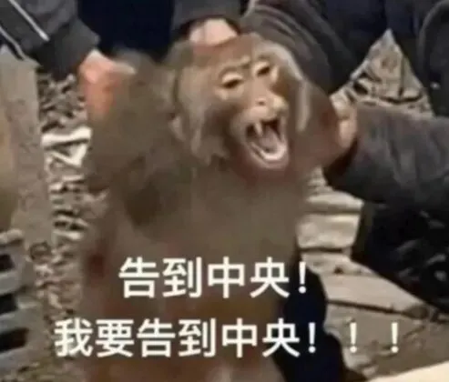 亚马逊季度税务报告正式推送：卖家数据为何“对不上账”？