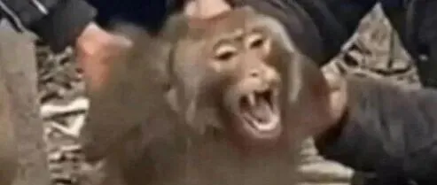 亚马逊季度税务报告正式推送：卖家数据为何“对不上账”？