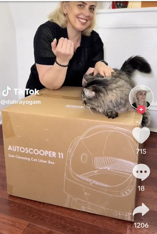TikTok Shop公布11月热销榜，销售额最高达573万美元
