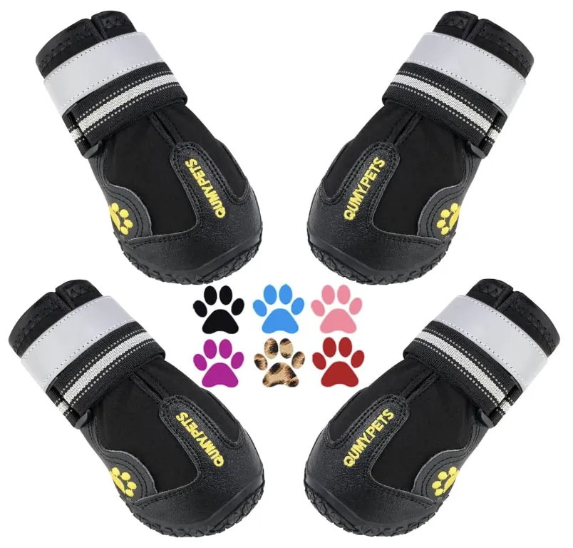 搜索量激增，10款宠物产品在亚马逊月销过万