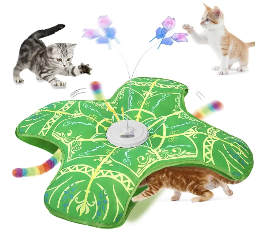 搜索量激增，10款宠物产品在亚马逊月销过万